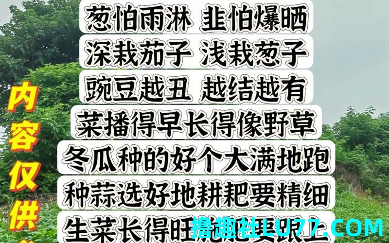 梦见祖母种菜 梦见祖母种菜