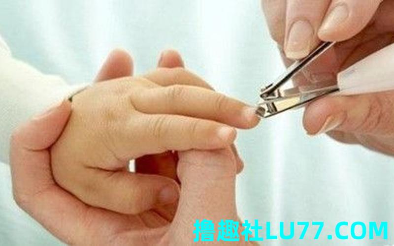 梦见剪铁刺 梦见剪铁刺