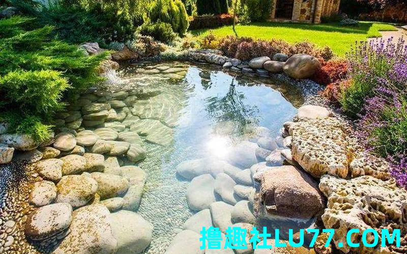 梦见后院有水