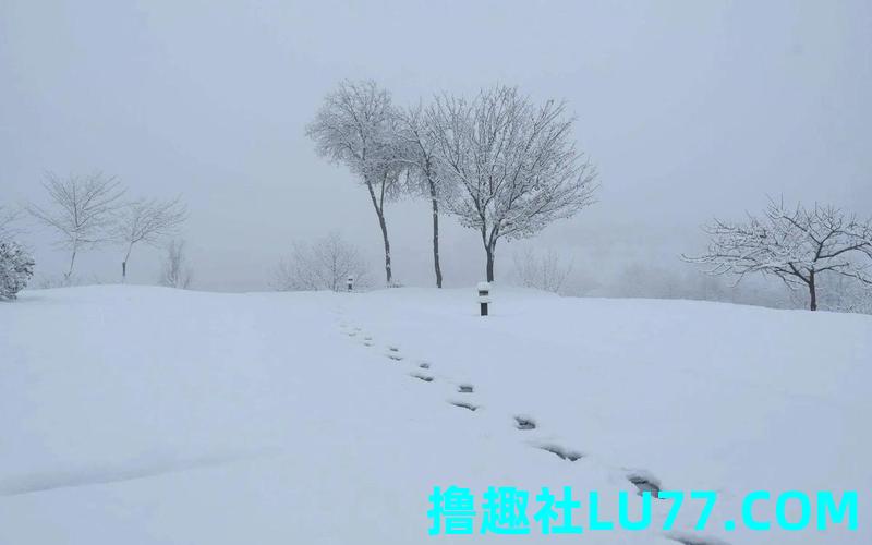 梦见白茫茫的雪景