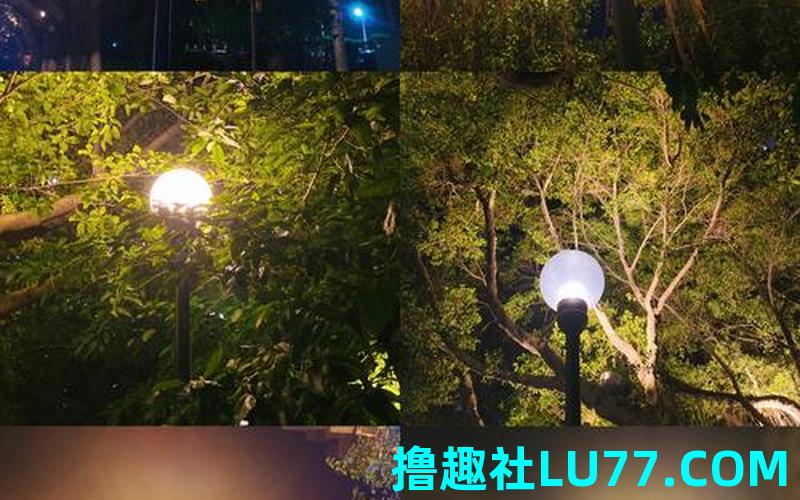 梦见夜晚出现太阳 梦见夜晚出现太阳