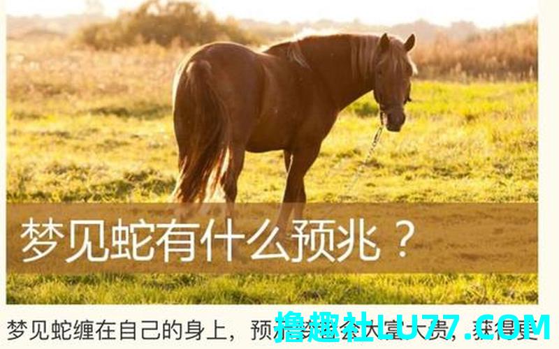 梦见蛇跟鳄鱼 梦见蛇跟鳄鱼