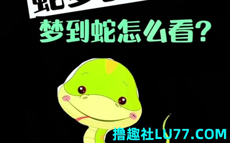 梦见黑蛇好吗