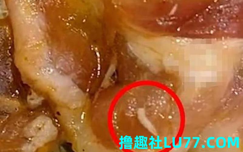 梦见肉上有蛆