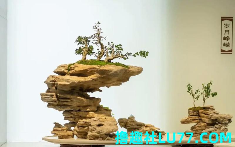 梦见盆景山 梦见盆景山