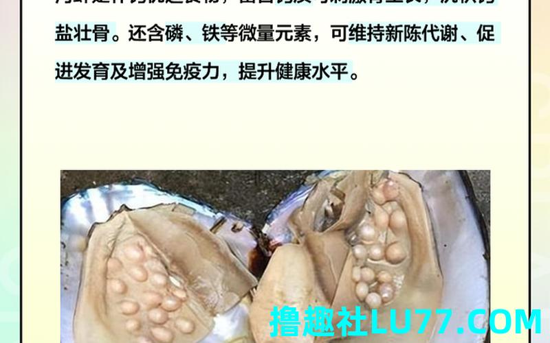 梦见贝壳肉 梦见贝壳肉