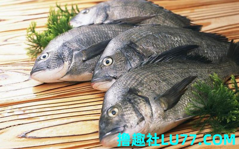 梦见鱼在自己身上 梦见鱼在自己身上