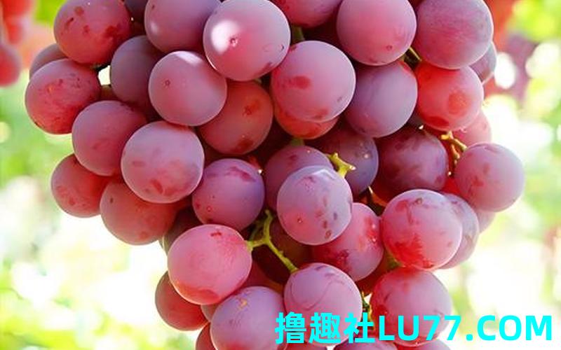 梦见一串串葡萄