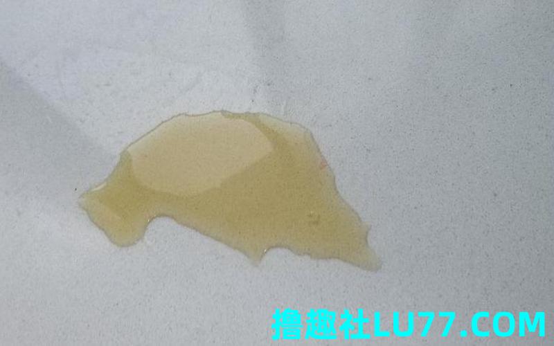 梦见猫尿在 梦见猫尿在