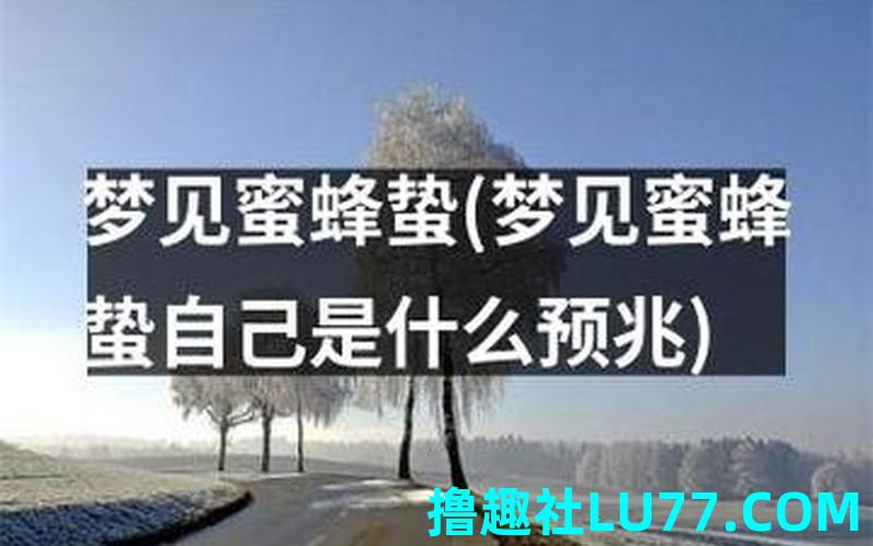 梦见蜜峰 梦见蜜峰
