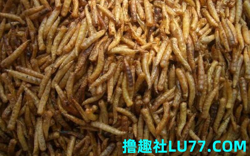梦见芴