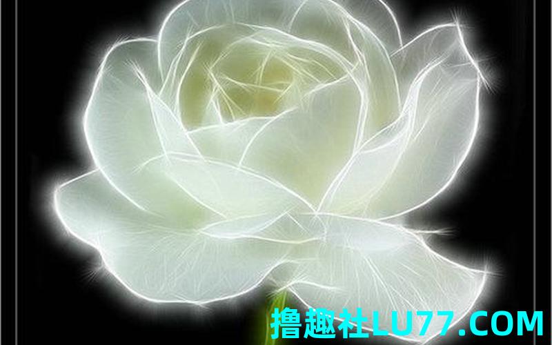 梦见杨
