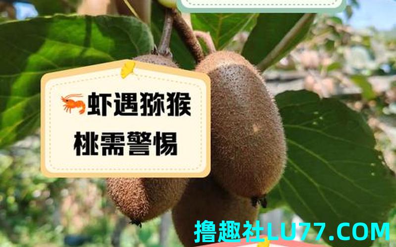 梦见偷猕猴吃 梦见偷猕猴吃