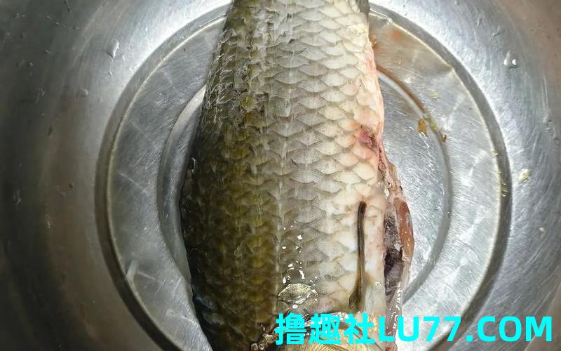 梦见钓了一条鲫鱼