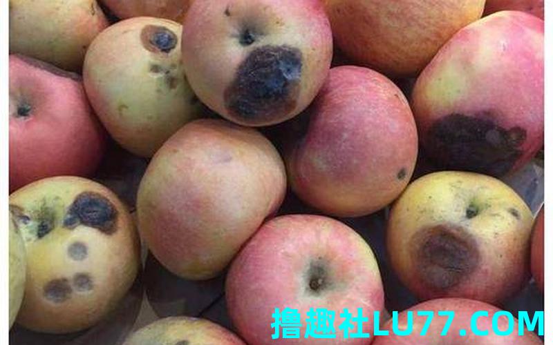 梦见踩烂水果 梦见踩烂水果