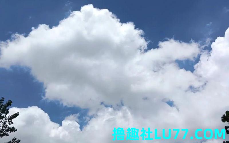 梦见雲 梦见雲