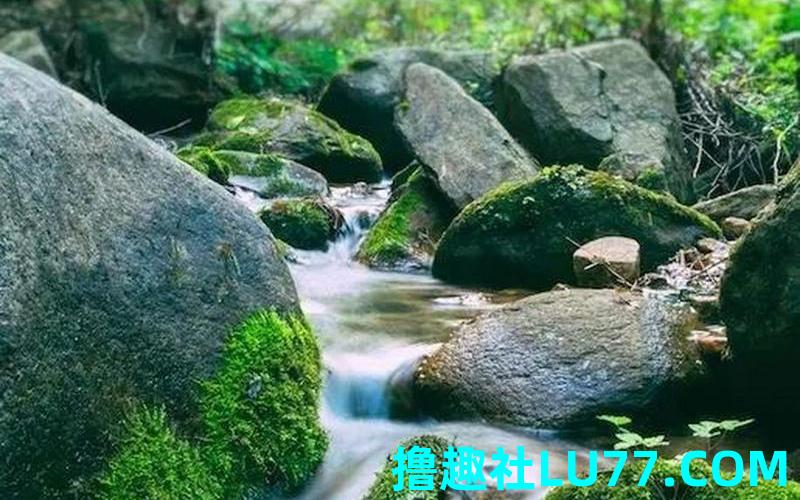 梦见一泉脏水