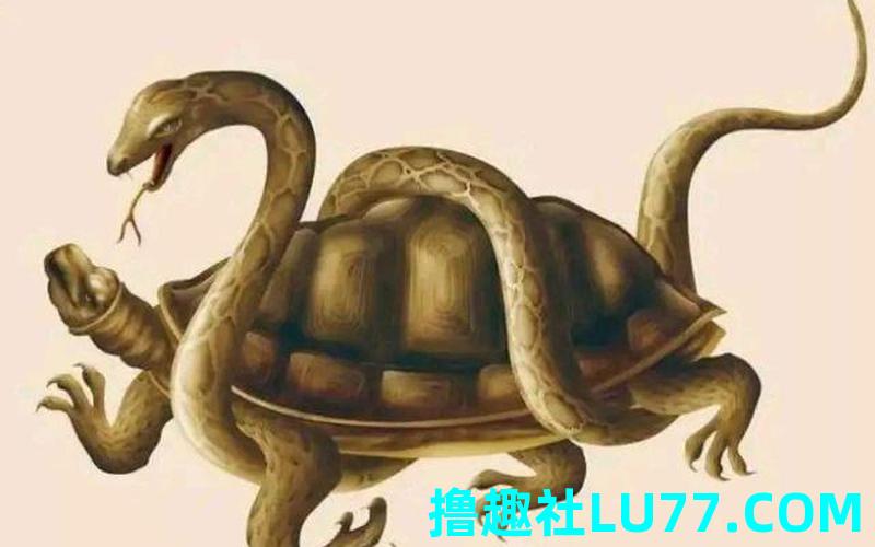 梦见龟变蛇