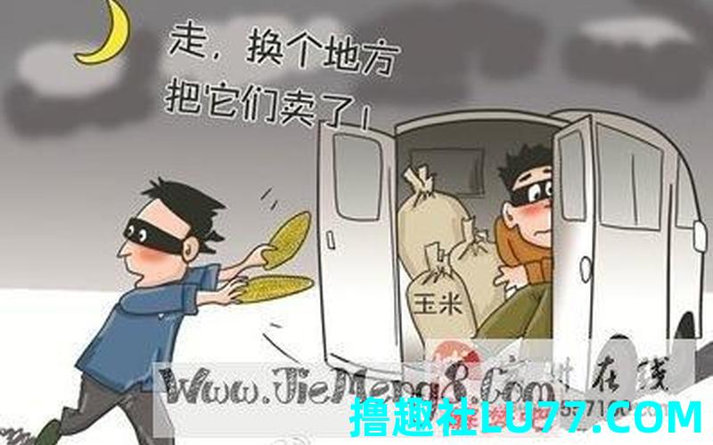 梦见自家被偷了