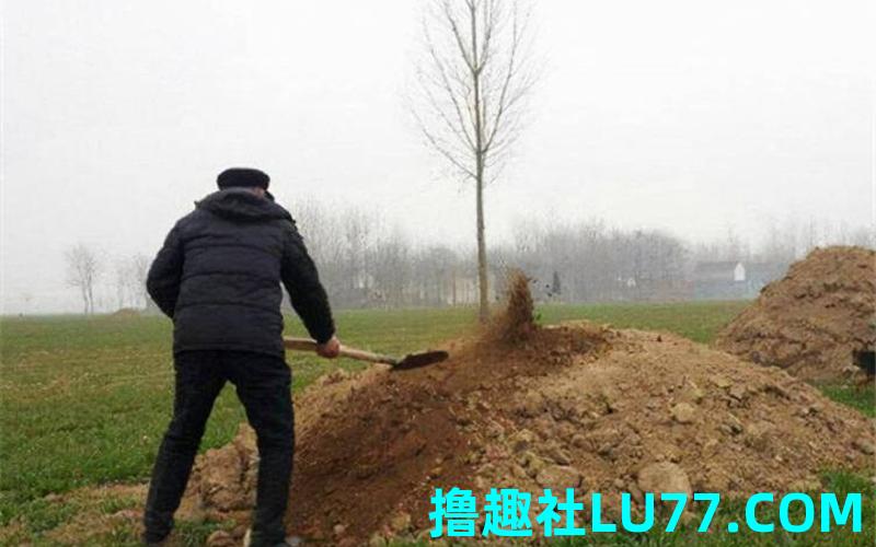 梦见别人要挖我家祖坟 梦见别人要挖我家祖坟