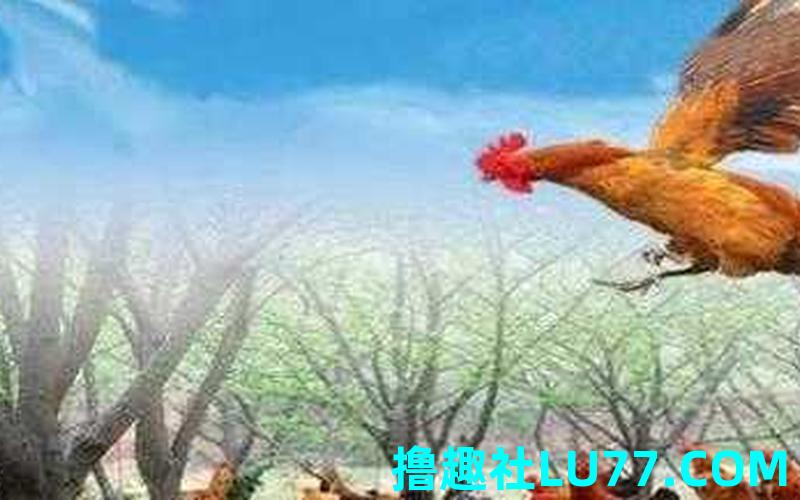 梦见级 梦见级