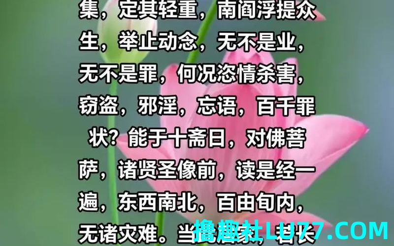 梦见读地藏经